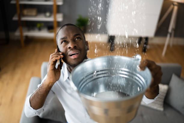 Best Carpet water damage restoration  in Leesburg, GA