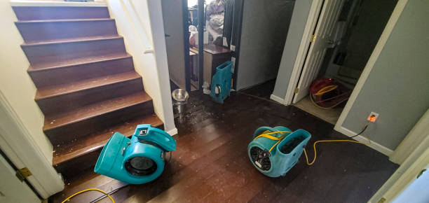 Best Local water damage restoration  in Leesburg, GA