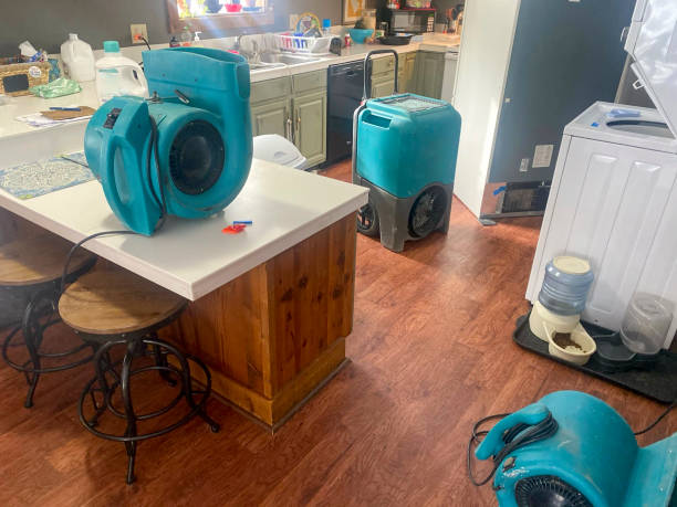 Best Commercial water damage restoration  in Leesburg, GA