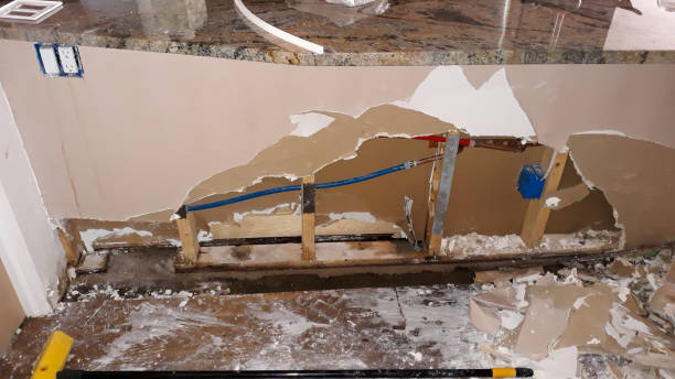 Best Water damage restoration near me  in Leesburg, GA
