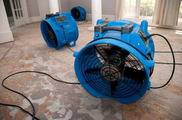 Best Water damage restoration process  in Leesburg, GA
