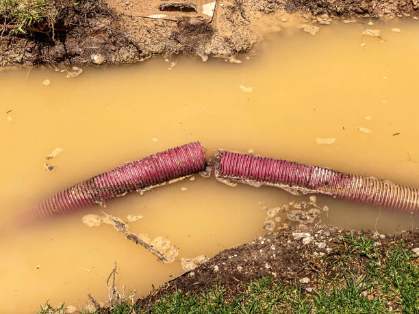 Best Water damage contractors near me  in Leesburg, GA